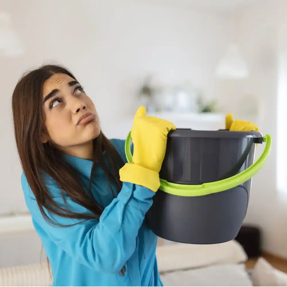 water damage restoration service Berwyn Heights